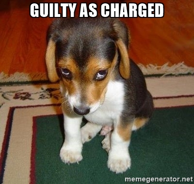 guilty-puppy